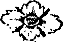 110/110360290000230_0.png