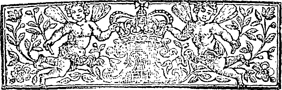 110/110370260000330_1.png