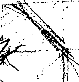 110/110460030001540_2.png
