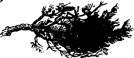 110/110560010000840_0.png