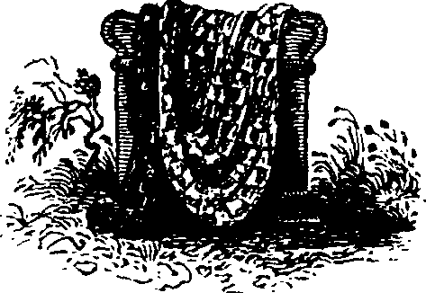 110/110560010001010_0.png