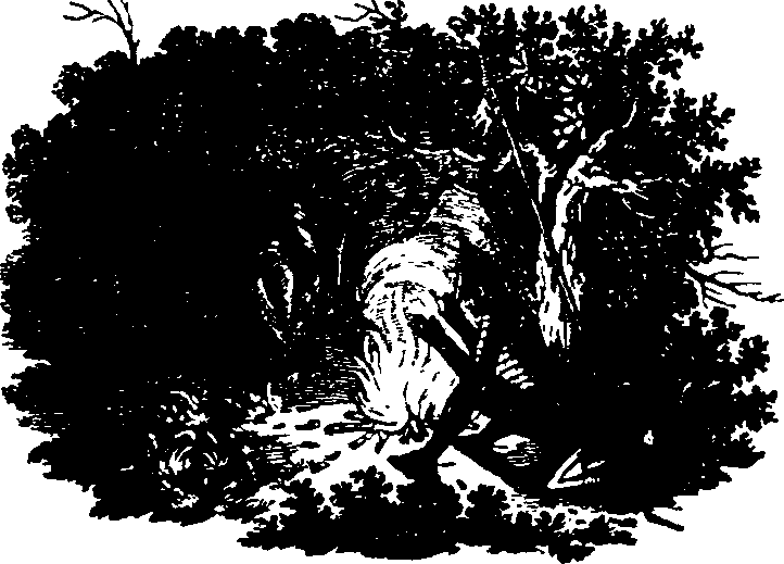 110/110560010001490_0.png