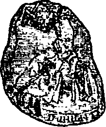 110/110560010001810_0.png