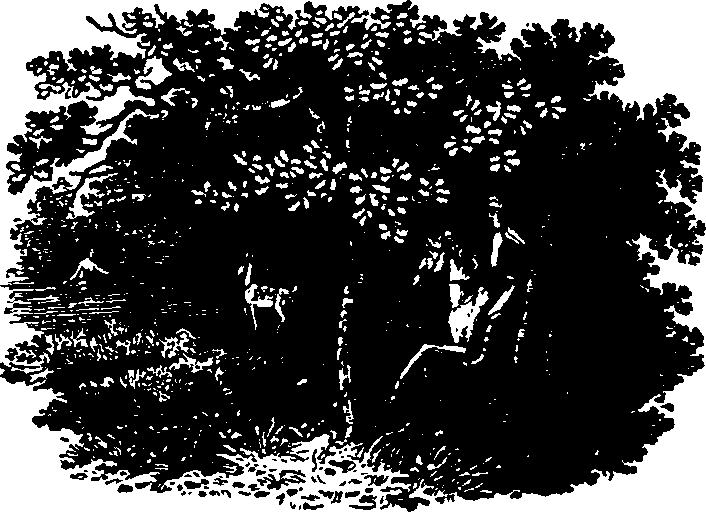 110/110560010002010_0.png