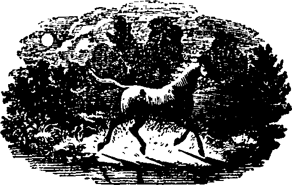 110/110560010002170_0.png