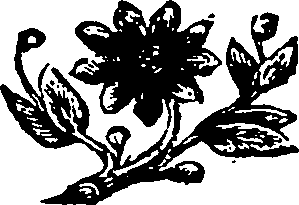 110/110590010000340_0.png