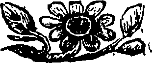 110/110590010000800_0.png