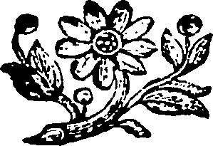 110/110590020000340_0.png