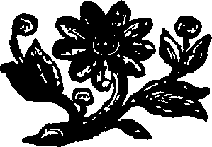 110/110590020000630_0.png