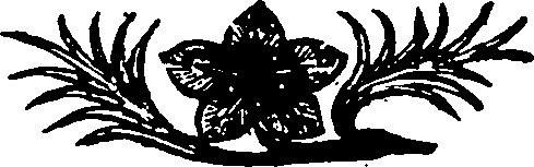 110/110590020000780_0.png