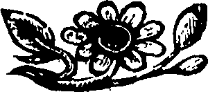 110/110590020000800_0.png