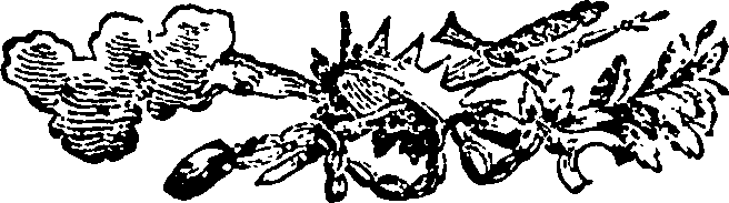110/110590050000120_0.png