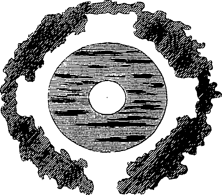 110/110590100000360_0.png