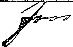 110/110670020000010_0.png