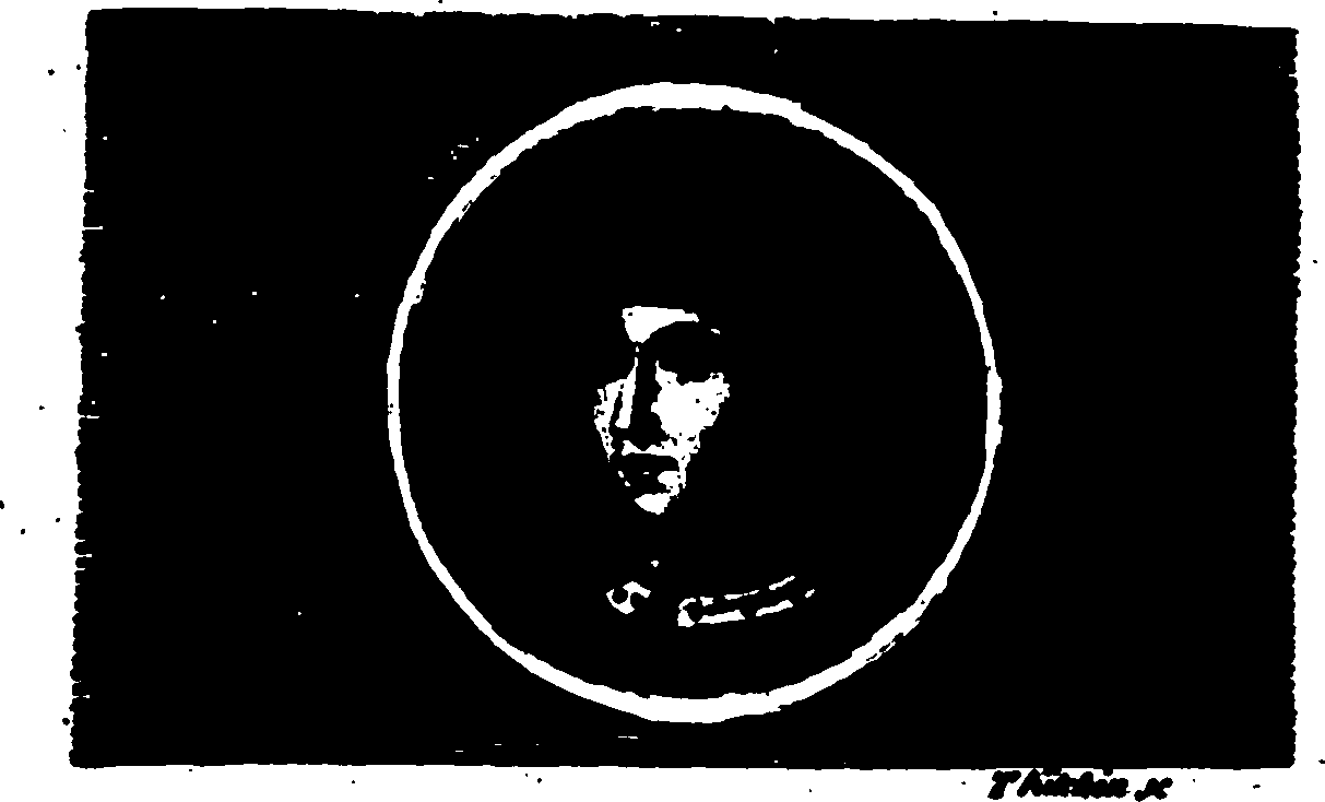 110/110730010001870_0.png