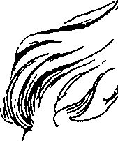 110/110750030101250_0.png