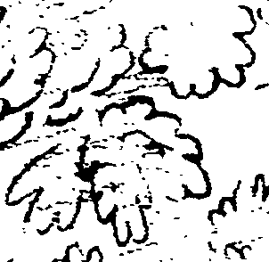 110/110750030101650_2.png