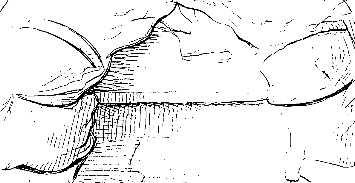 110/110750030102350_0.png