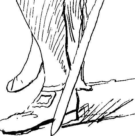 110/110750030102440_0.png