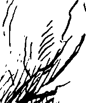 110/110750030102440_1.png