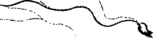 110/110780010306060_1.png