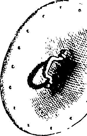110/110780010306060_2.png