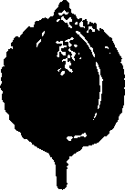 110/110790010600430_0.png