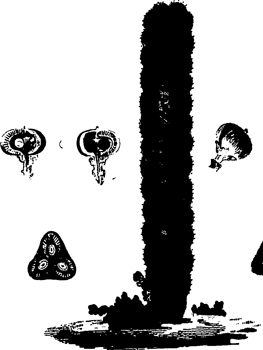 110/110790010600830_0.png