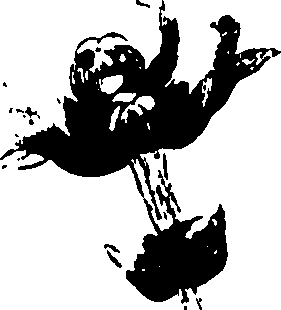110/110790010600880_0.png
