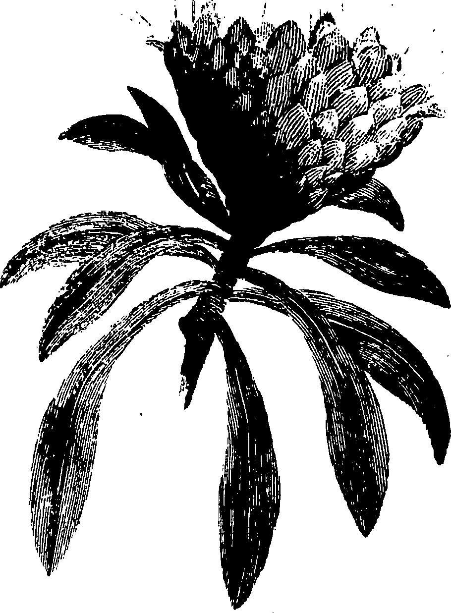110/110790010601010_0.png
