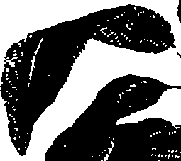110/110790010601270_0.png