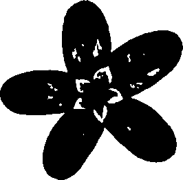 110/110790010601320_0.png