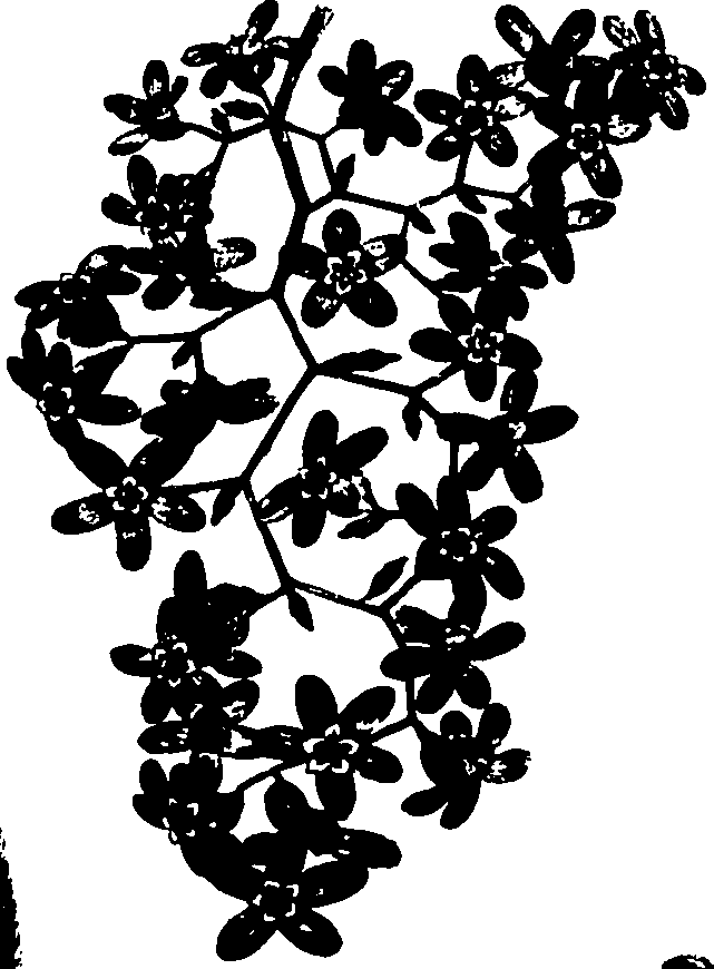 110/110790010601320_1.png