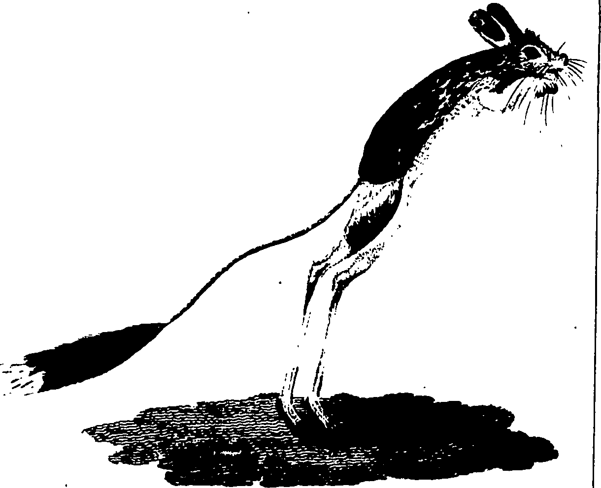 110/110790010601970_0.png
