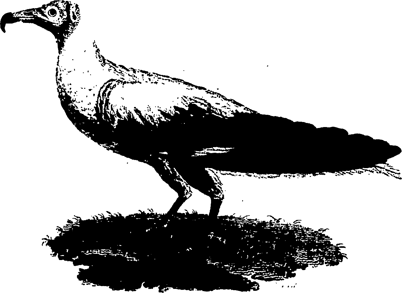 110/110790010602550_0.png