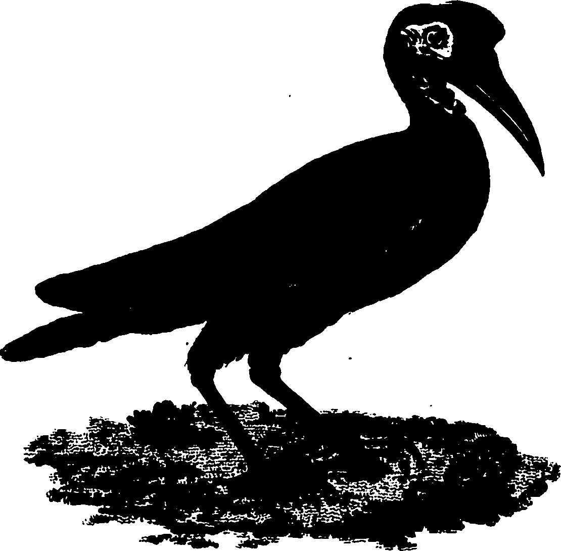 110/110790010602640_0.png