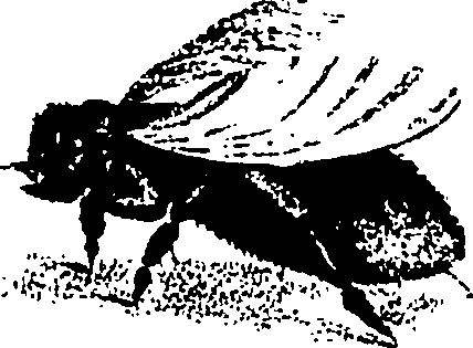 110/110790010603010_1.png