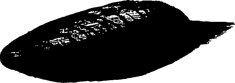 110/110790010603370_0.png