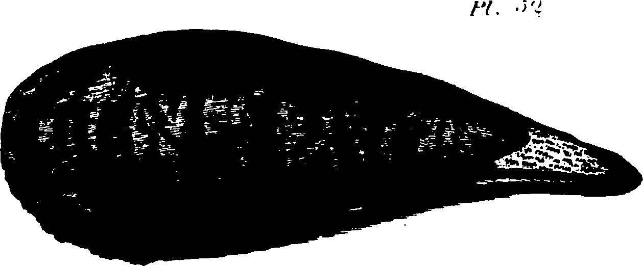 110/110790010603370_2.png