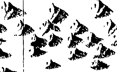 110/110790010603580_0.png