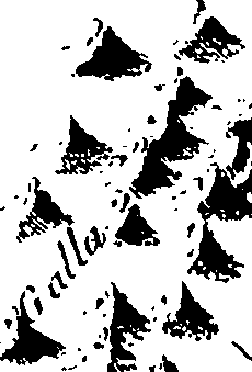 110/110790010603590_1.png