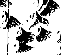 110/110790010603590_3.png