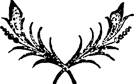 110/110810100000200_0.png