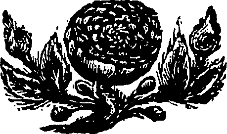110/110830050000780_0.png