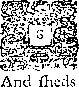 110/110840040102130_0.png