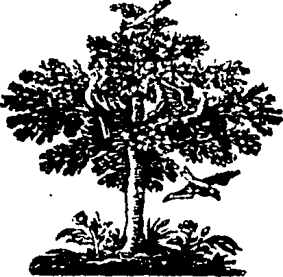 110/110890040000040_0.png