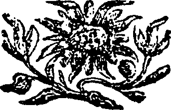 110/110890070000990_0.png