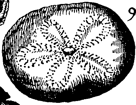110/110950080000050_0.png