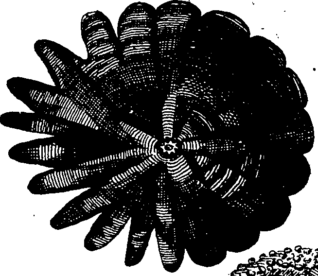 110/110950080000050_2.png