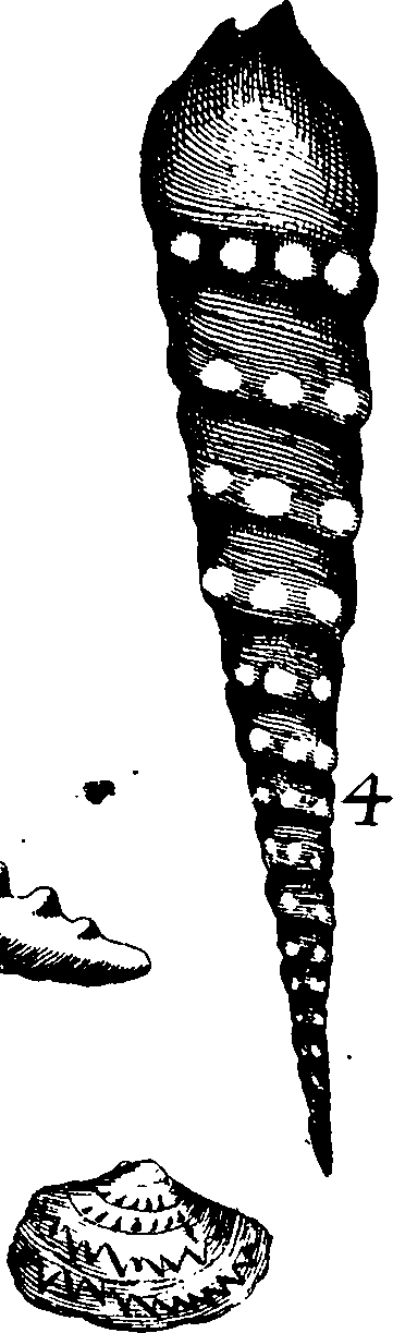 110/110950080000060_3.png